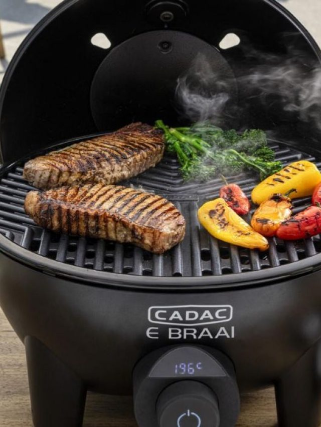 10 Best Electric Grill