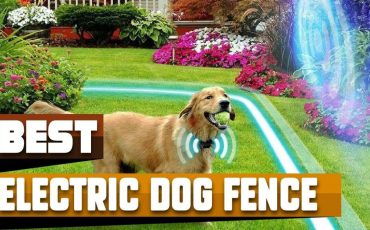 Electric Fence for Dogs