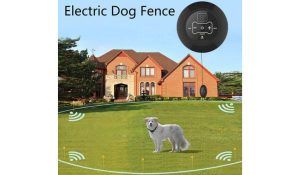 Electric Fence for Dogs